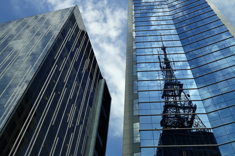 São Paulo: 2-stündiger Rundgang durch die Avenida Paulista