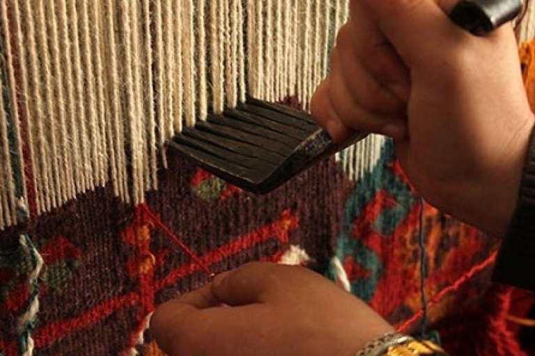 Bodrum port: Guided City Tour with Castle & Mausoleum Visit