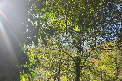 The Trail of the Machakhela Gun- Machakhela valley tour