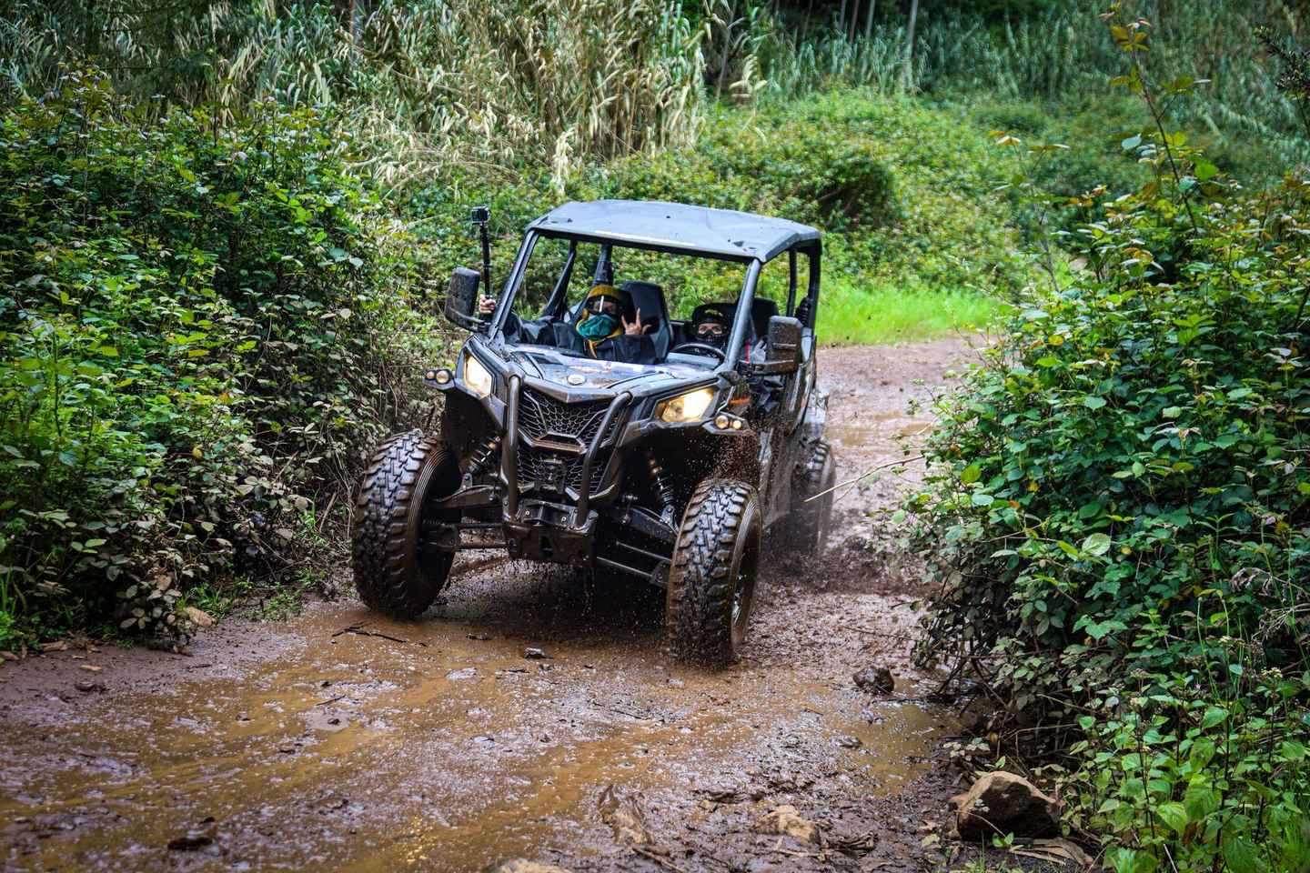 Madeira: CAN-AM OFF-ROAD BUGGY EXPERIENCE