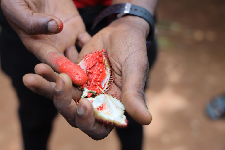 Dagtrip Zanzibar: Stone Town, Spice Tour en GevangeniseilandGedeelde groepsreis