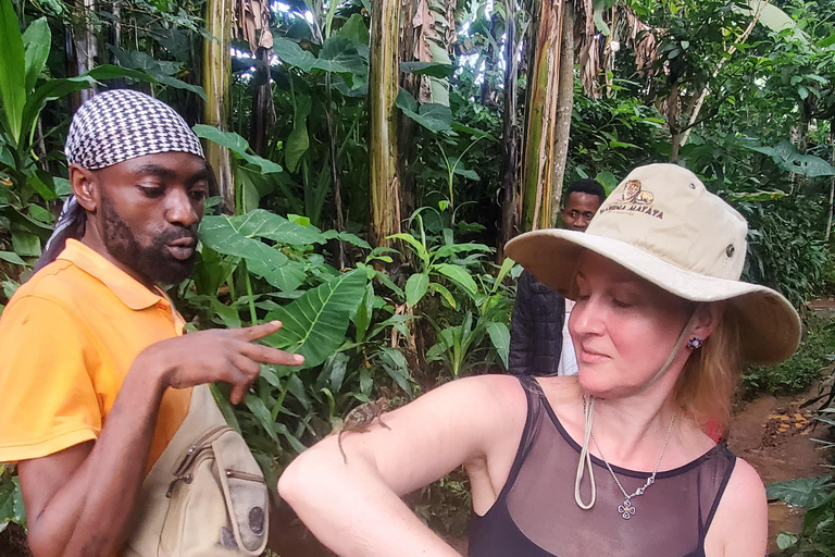 Wonderful Materuni waterfalls and Chemka hotspring Day trip