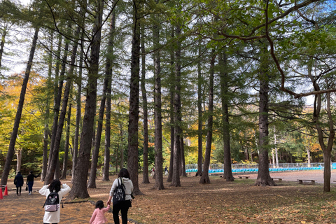 Sapporo: Wycieczka po świątyniach Hokkaido z rytuałami, historią i słodyczami