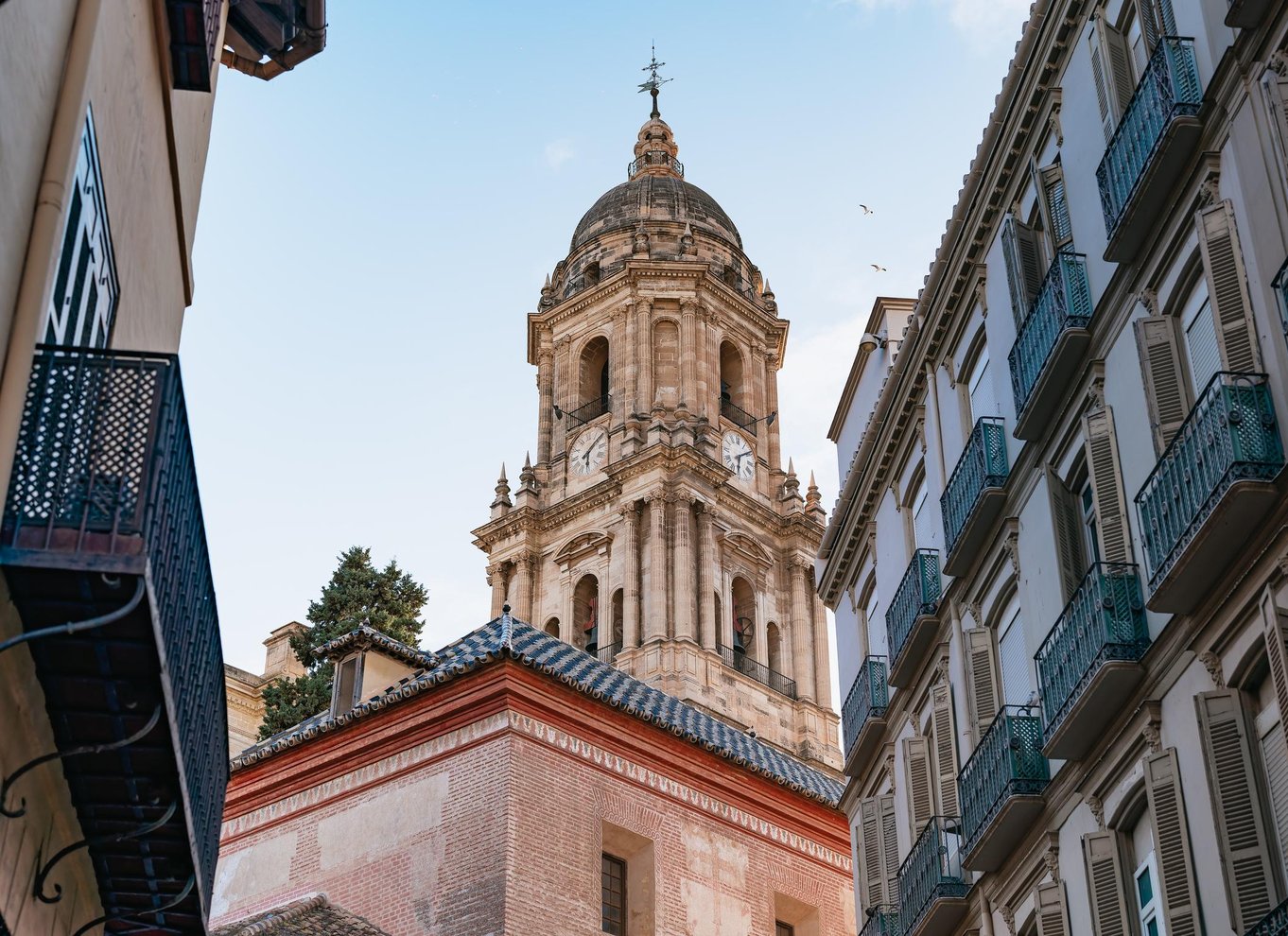 Málaga: Traditionel andalusisk tapas- og vintur