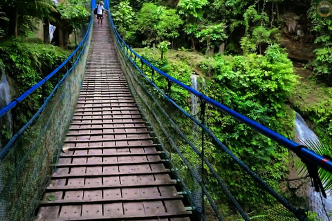 Mantayupan Falls & Moalboal: Snorkeling & Sardine Run Tour