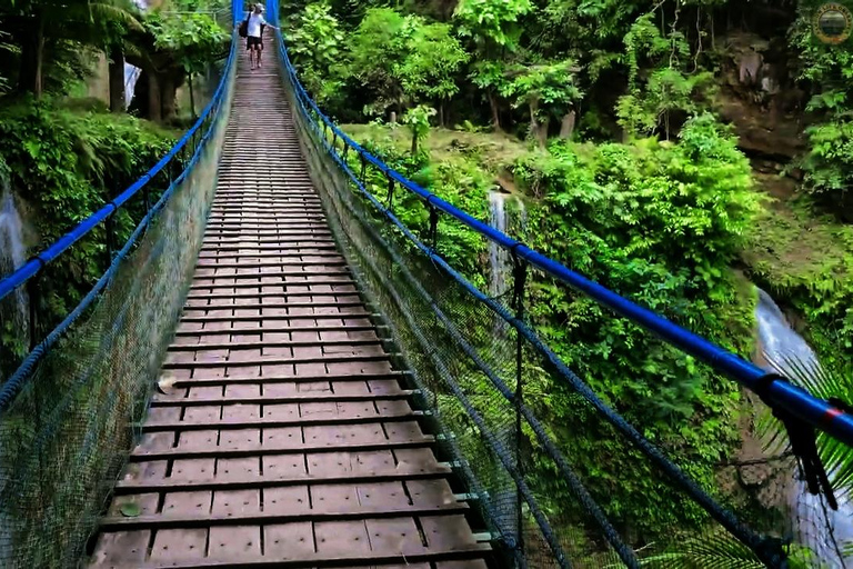 Mantayupan Falls & Moalboal: Snorkeling & Sardine Run Tour