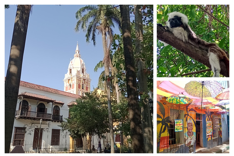 Tour insolito e autentico attraverso Cartagena de Indias, ColombiaUn tour super speciale e autentico a Cartagena de Indias, Colombia