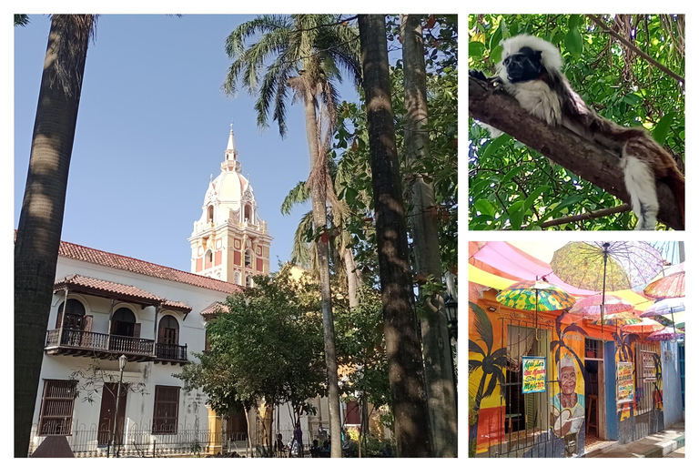 Tour insolito e autentico attraverso Cartagena de Indias, ColombiaUn tour super speciale e autentico a Cartagena de Indias, Colombia