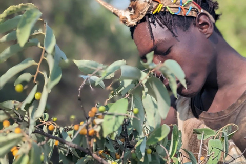 Arusha: tour de día completo a las tribus masái y hadzabe.Excursión de día completo a las tribus Hadzabe y Datoga