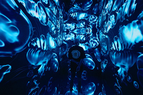 VIDENIE Immersive Art Space Entry Ticket