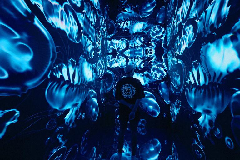 VIDENIE Immersive Art Space Entry Ticket