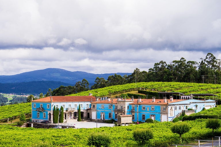 Granbazán Winery: Guided Tour and Wine Tasting Bodegas Granbazán: Visita Guiada y Cata de Vinos (Español)