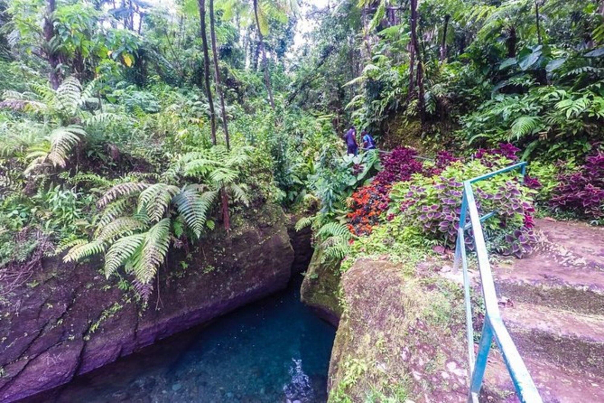 Dominica: Get Set Wet Day Tour