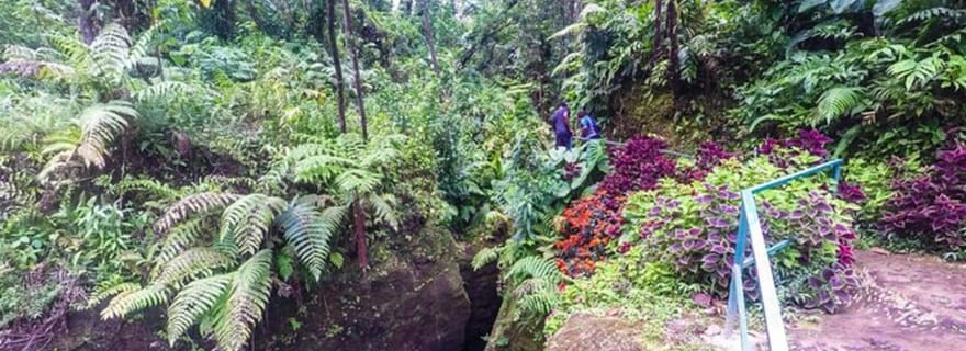 Dominique : Get Set Wet Day Tour