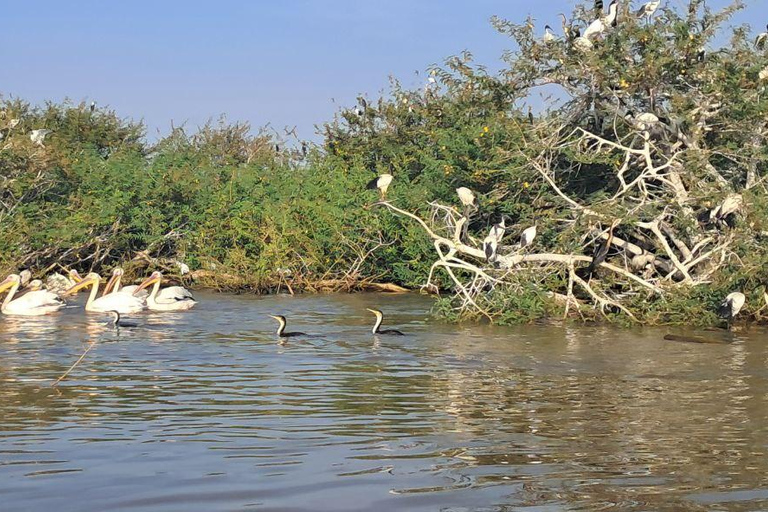 8 Days From Addis Ababa: Omo Valley Cultural & Tribal Tour