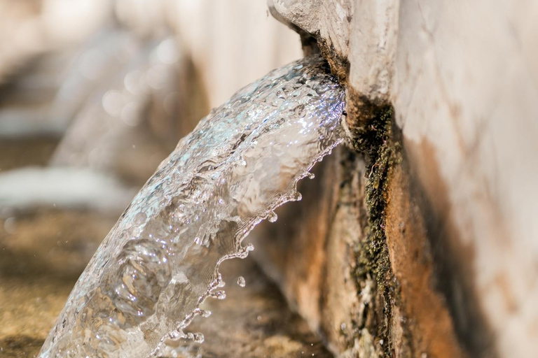 Z Rethymno: Jednodniowa wycieczka na południe Krety