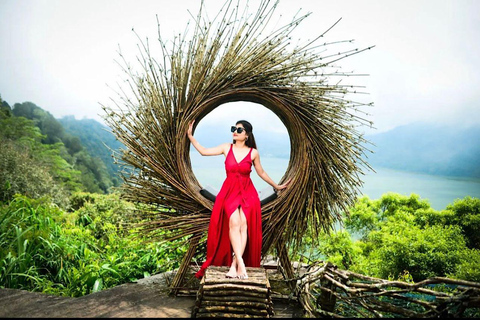 North Bali: Dolphin Swim, Snorkeling, & Waterfall Cliff Jump Small Group With Hotel Transfer Central Bali