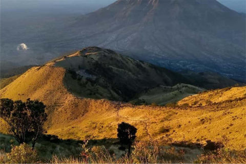 Desde Yogyakarta: Merbabu 2 días de acampada con todos los gastos pagados