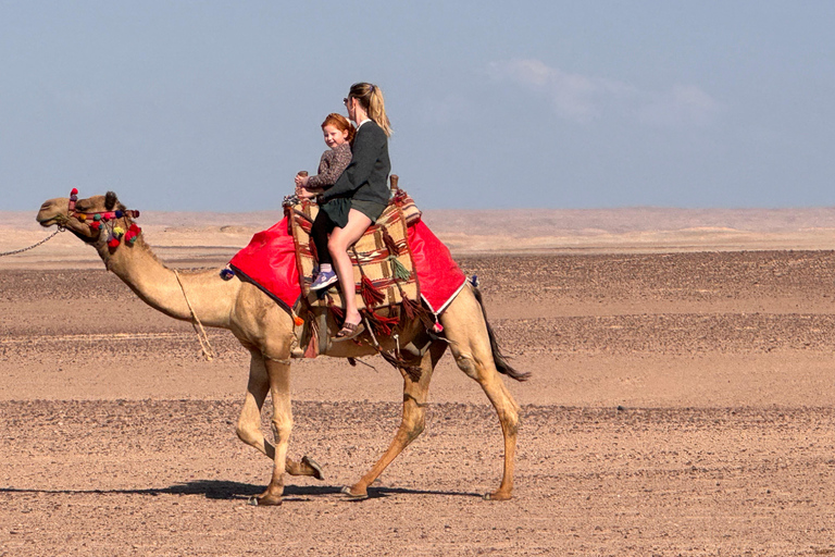Hurghada: Camel Ride & horse ride and Off-Road Jeep Tour pickup from hotels inside hurghada