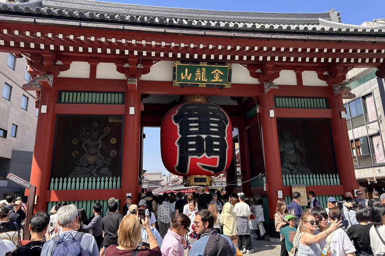 Tokyo: Customized Private Guided Tour in French Private French-speaking live guide in Tokyo Half-day