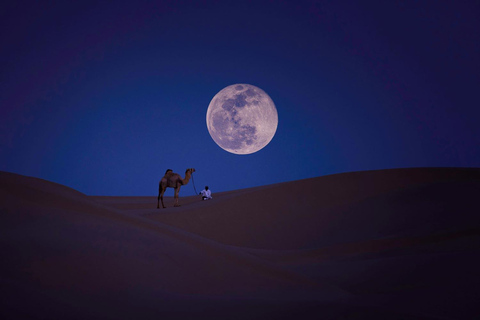 Qatar: Safári noturno no deserto| Passeio de camelo| Praia do mar interior