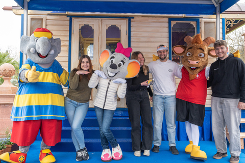 Basel: Europa-Park 1-day ticket with direct RailCoaster