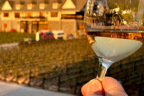 Alyan Family sunset winery Alyan Family