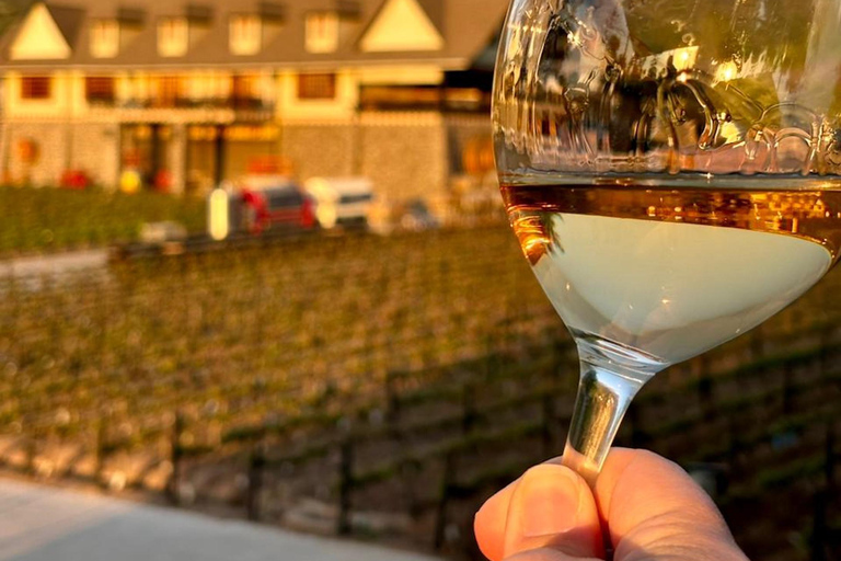 Alyan Family sunset winery Alyan Family