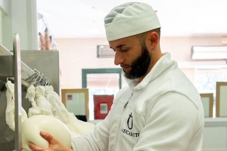 Rota: Cheese Factory Tour with Tasting and Wine