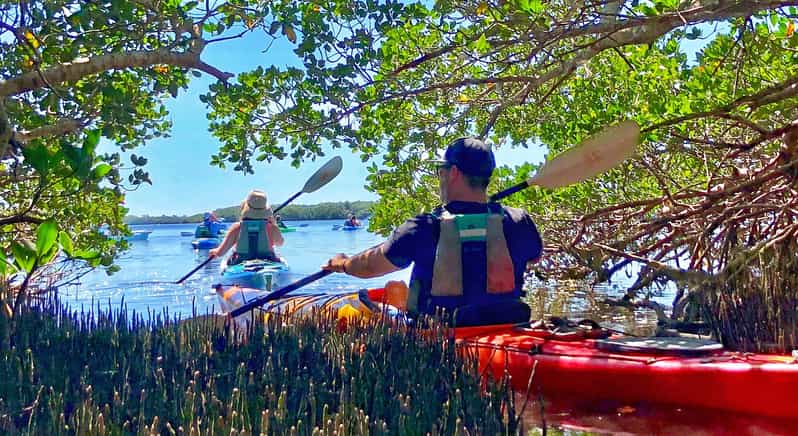 Tierra Verde FL: Coastal Kayaking Tour in Shell Key | GetYourGuide