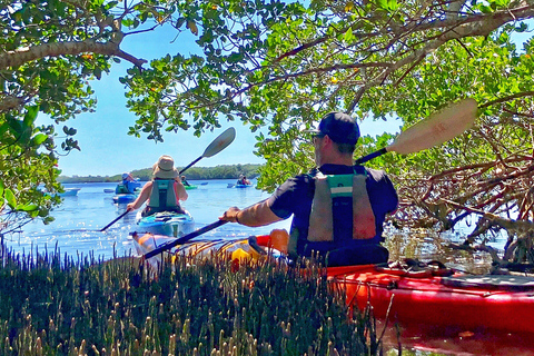 Tierra Verde FL: Coastal Kayaking Tour in Shell Key Single Kayak