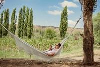 Luján de Cuyo, Journey through best wines and foods - Housity