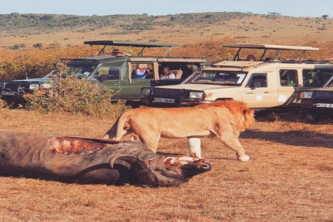 3Day Safari Serengeti i wycieczka do krateru Ngorongoro Dołącz do grupy