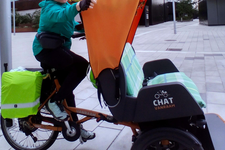 RAXI (Electric Rickshaw) Vienna 90 minutes tour