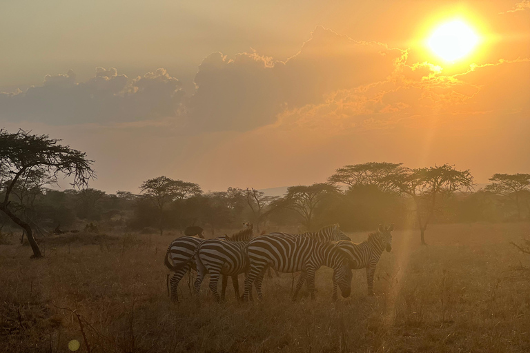 Entebbe: Nationaal Park Lake Mburo, Equator Tour &amp; Rondvaart