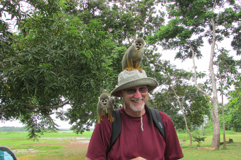 Från Iquitos || Utflykt till Monkey Island Hela dagen ||