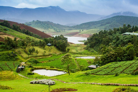 From Bangalore: Majestic Ooty Hill Station Tour 2N/3D