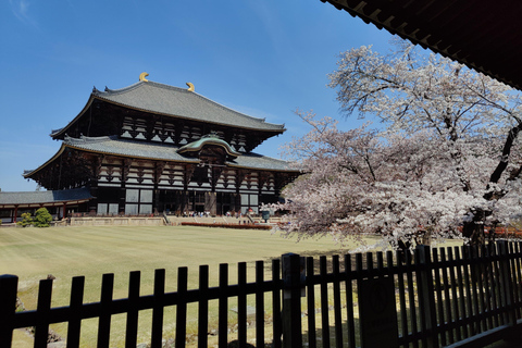 Hidden Paths of Nara: Walking tour from Ikoma to Todai-ji