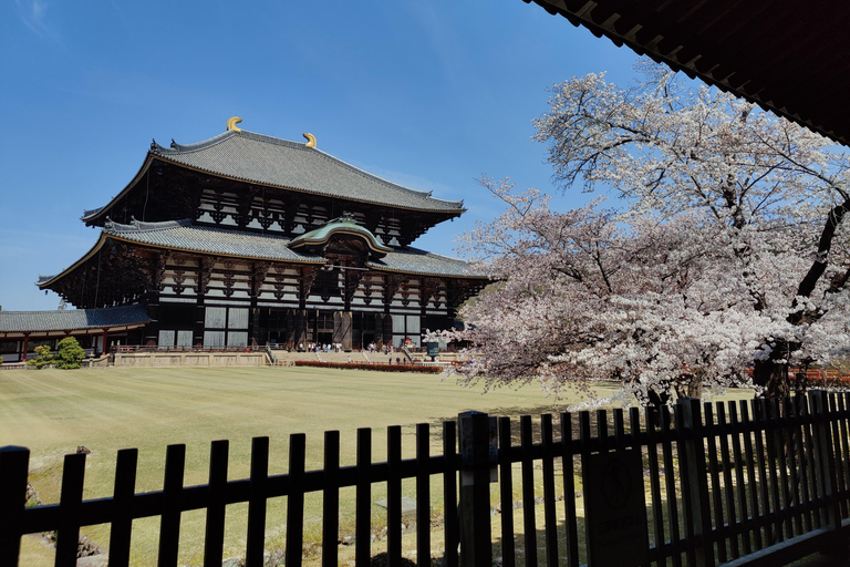 Hidden Paths of Nara: Walking tour from Ikoma to Todai-ji