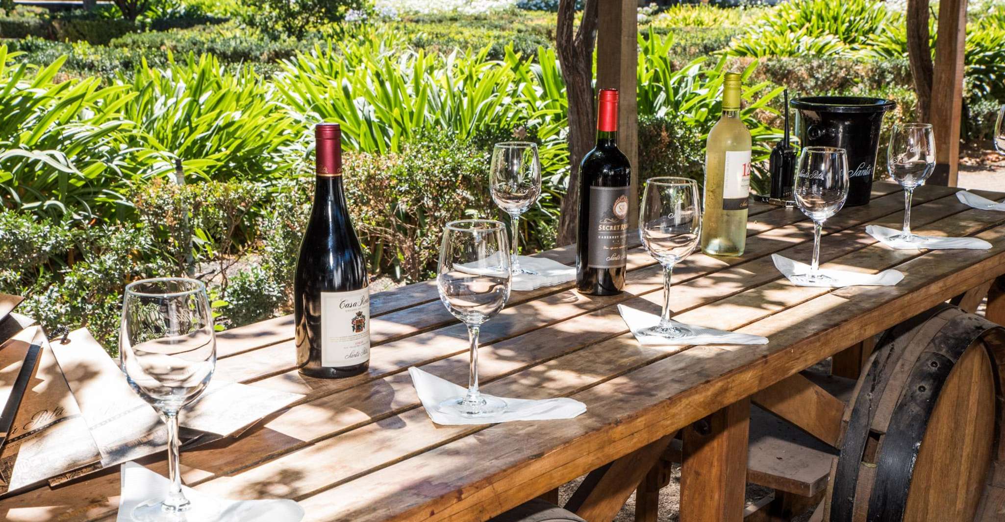 Santa Rita, Dégustation de Vin Ultra Premium, Tour et Transport - Hizvo