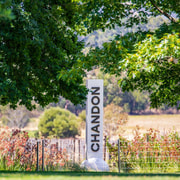 Yarra Valley Private Tour with Mandarin Speaking guide