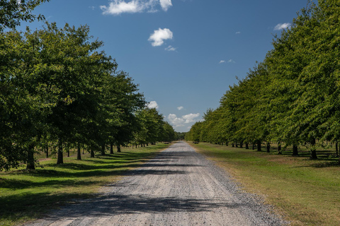 Horses, Asado &amp; Nature. A day at a thoroughbred farm