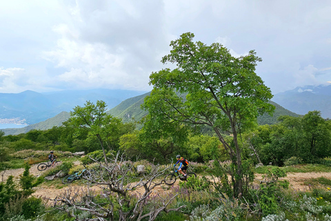 Avventura in E-MTB sulla collina di Vrmac