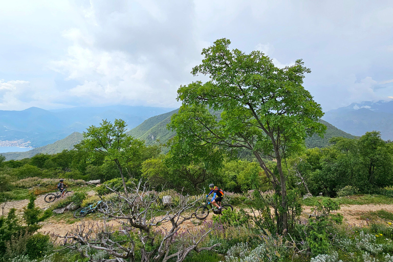Avventura in E-MTB sulla collina di Vrmac