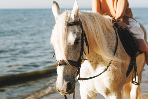 Menorca: Horseback Ride to Cala Fustam Beach and Swim