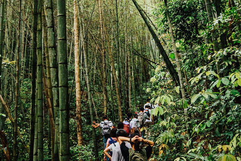 Shenzhen: Conghua Bamboo Forest & Village Private Day Trip