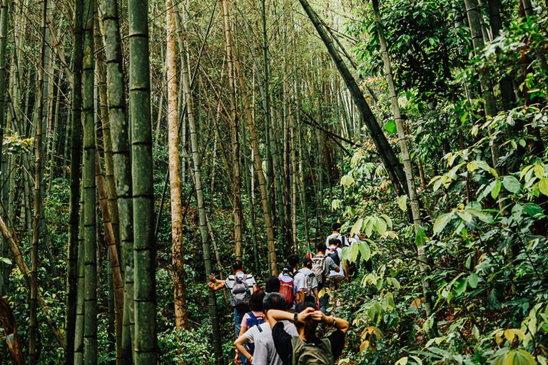 Shenzhen: Conghua Bamboo Forest & Village Private Day Trip