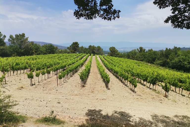 La Elegancia del Vino: Descubrimiento de Chateau La Coste y La GaudeElégance viticole: Découverte à Chateau La Coste et La Gaude