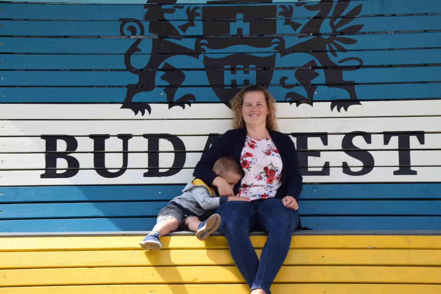 Recorrido de Medio Día por Budapest con Gabor