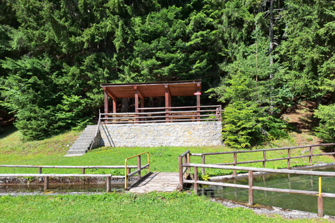 Sarajevo: Skakavac Waterfall Hike with Picnic & Coffee